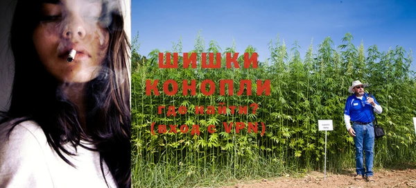 шишки Братск