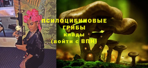 ECSTASY Ступино