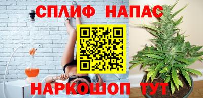 дмт Балахна