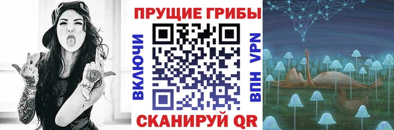 закладка  Бугульма  Галлюциногенные грибы Psilocybine cubensis 