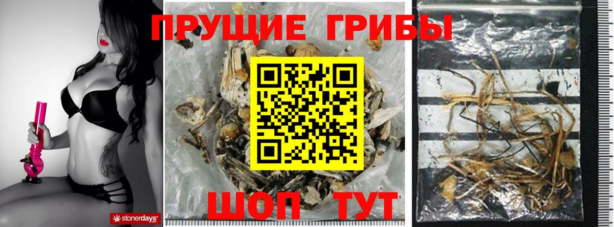 Бугульма  Псилоцибиновые грибы MAGIC MUSHROOMS  Вход с VPN 